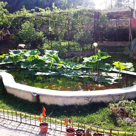 Simona Bed & Breakfast