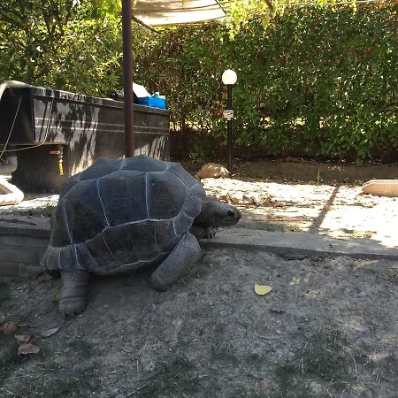 Simona Bed & Breakfast 3*