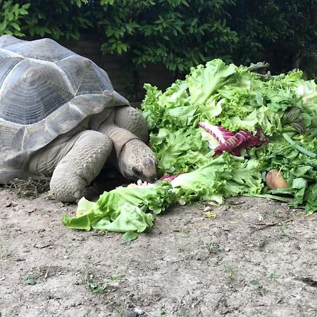 Simona Bed & Breakfast Sorbolo