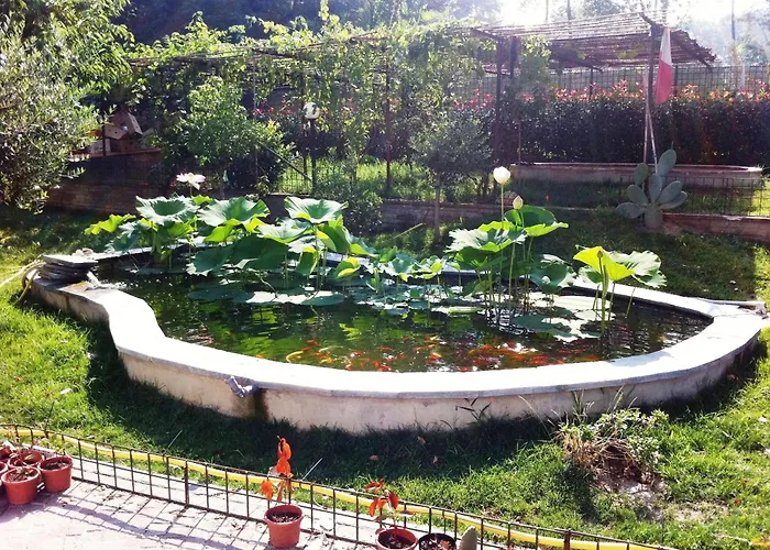 Simona Bed & Breakfast